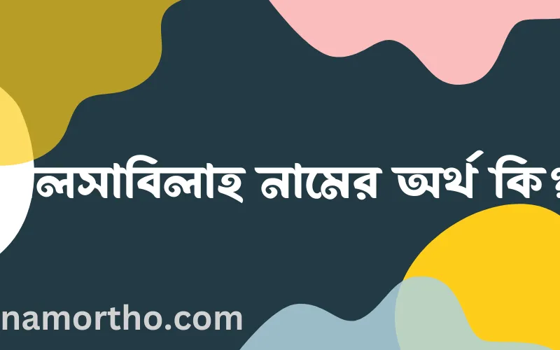 সালসাবিলাহ নামের আর্থ কি?