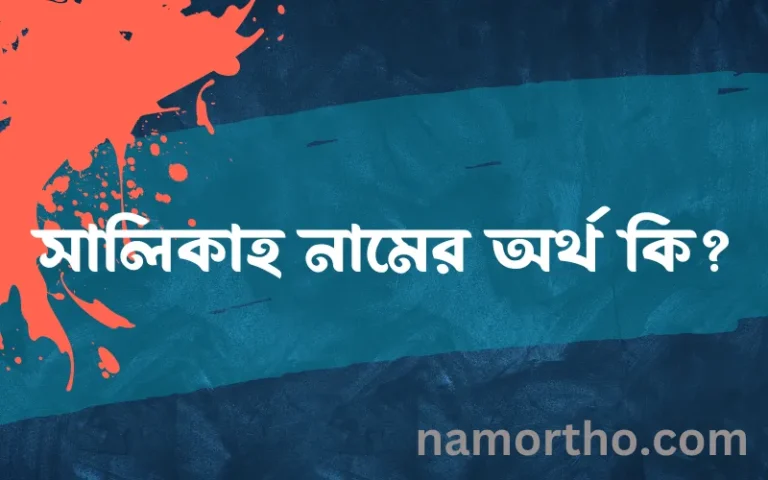সালিকাহ নামের অর্থ কি? ইসলামিক আরবি বাংলা অর্থ এবং নামের তাৎপর্য