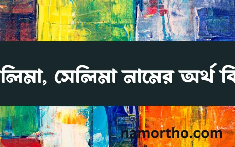 সালিমা, সেলিমা নামের অর্থ কি? সালিমা, সেলিমা নামের ইসলামিক অর্থ এবং বিস্তারিত তথ্য সমূহ