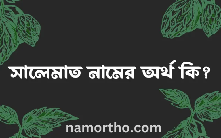 সালেমাত নামের অর্থ কি? সালেমাত নামের বাংলা, আরবি/ইসলামিক অর্থসমূহ