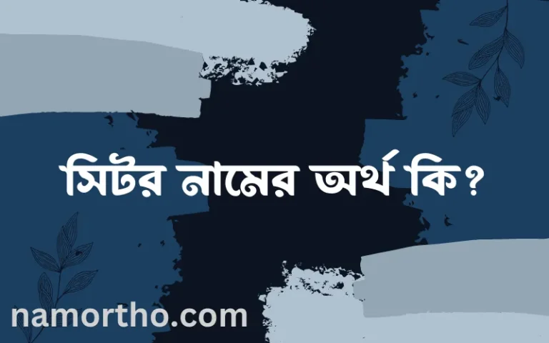 সিটর নামের অর্থ কি? সিটর নামের বাংলা, আরবি/ইসলামিক অর্থসমূহ