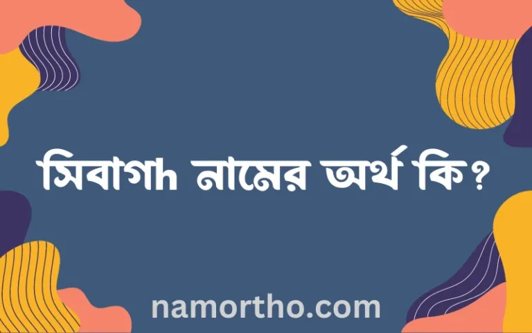 সিবাগh নামের অর্থ কি, বাংলা ইসলামিক এবং আরবি অর্থ?