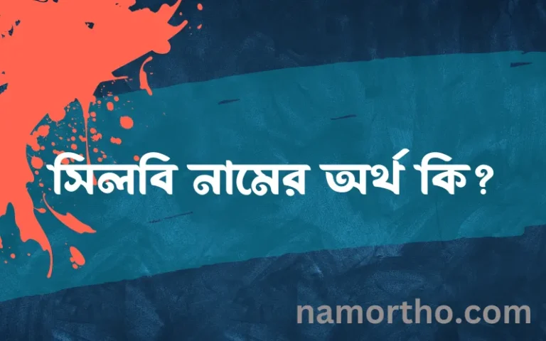সিলবি নামের অর্থ কি? (ব্যাখ্যা ও বিশ্লেষণ) জানুন