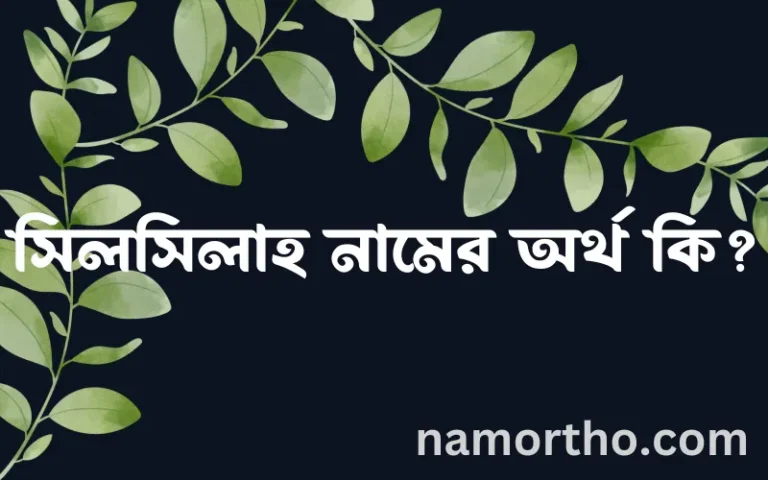 সিলসিলাহ নামের অর্থ কি? ইসলামিক আরবি বাংলা অর্থ