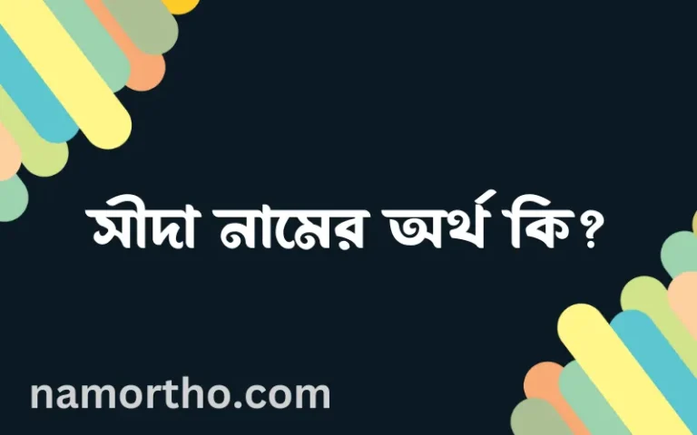 সীদা নামের অর্থ কি এবং ইসলাম কি বলে? (বিস্তারিত)