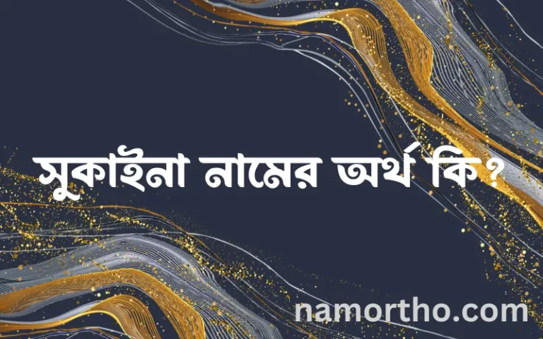 সুকাইনা নামের অর্থ কি? সুকাইনা নামের ইসলামিক অর্থ এবং বিস্তারিত তথ্য সমূহ