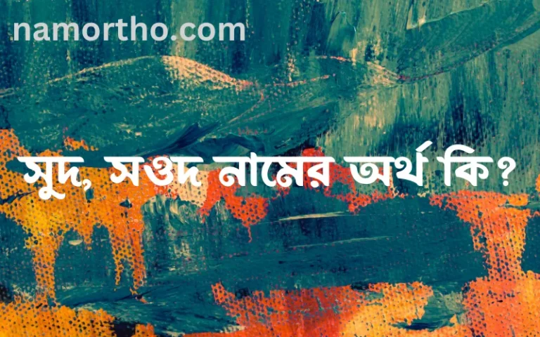 সুদ, সওদ নামের অর্থ কি? (ব্যাখ্যা ও বিশ্লেষণ) জানুন