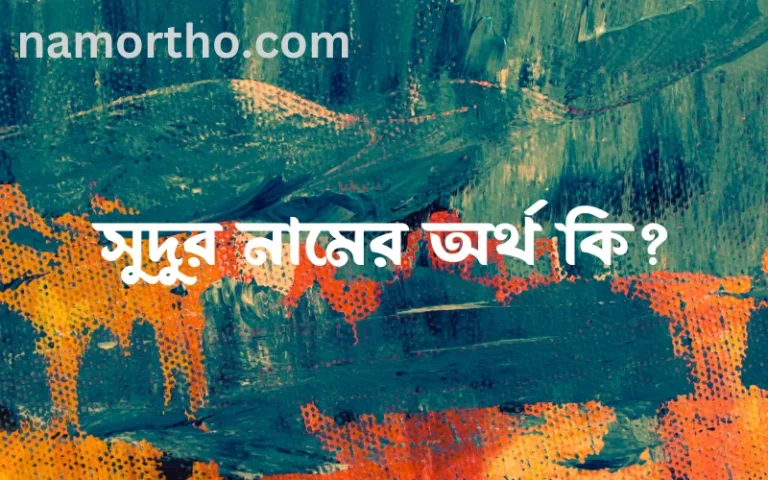 সুদুর নামের অর্থ কি এবং ইসলাম কি বলে? (বিস্তারিত)
