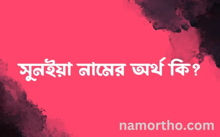 সুনইয়া নামের অর্থ কি এবং ইসলাম কি বলে? (বিস্তারিত)
