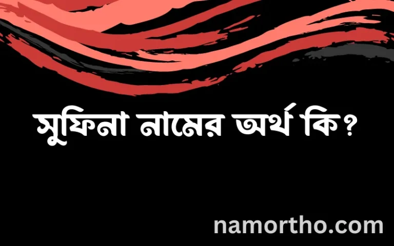 সুফিনা নামের অর্থ কি? (ব্যাখ্যা ও বিশ্লেষণ) জানুন