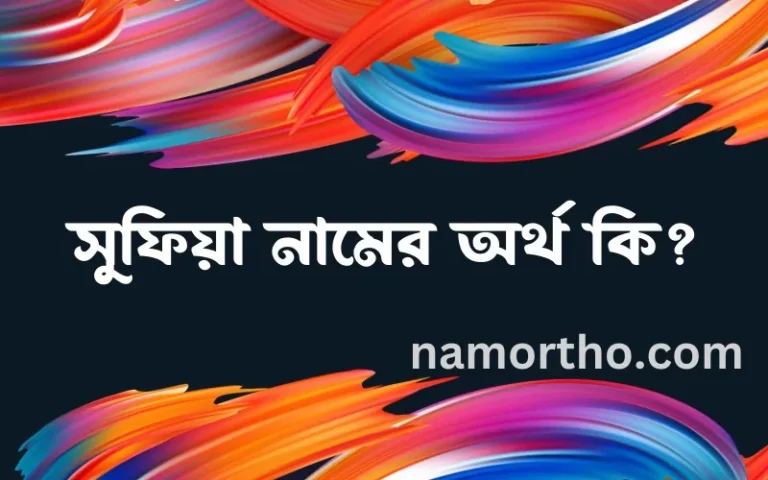 সুফিয়া নামের অর্থ কি? (ব্যাখ্যা ও বিশ্লেষণ) জানুন