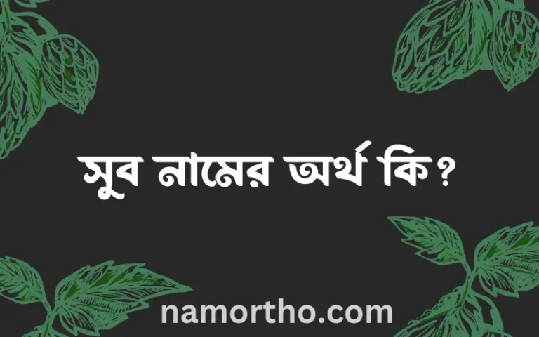 সুব নামের বাংলা আরবি ইসলামিক অর্থ কি?