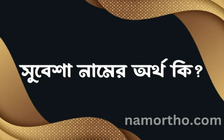 সুবেশা নামের অর্থ কি? সুবেশা নামের বাংলা, আরবি/ইসলামিক অর্থসমূহ