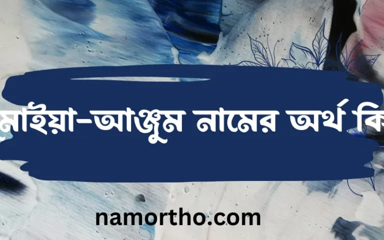 সুমাইয়া-আঞ্জুম নামের অর্থ কি? সুমাইয়া-আঞ্জুম নামের বাংলা, আরবি/ইসলামিক অর্থসমূহ