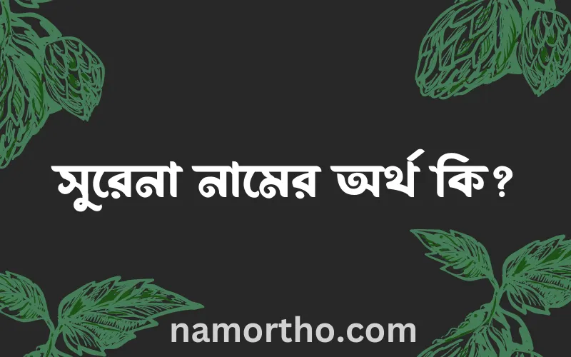 সুরেনা নামের আর্থ কি?
