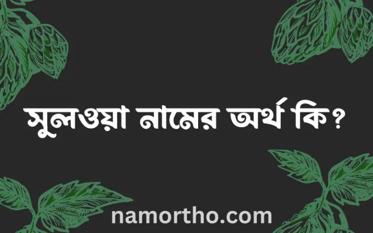 সুলওয়া নামের অর্থ কি, ইসলামিক আরবি এবং বাংলা অর্থ জানুন