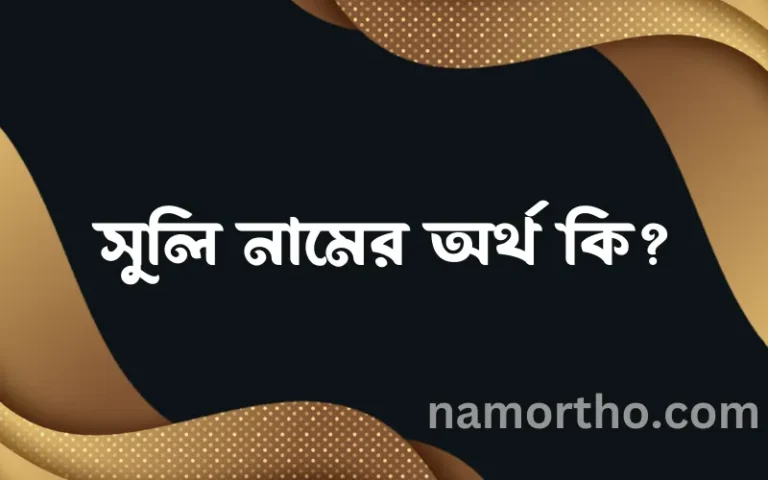 সুলি নামের বাংলা আরবি ইসলামিক অর্থ কি?