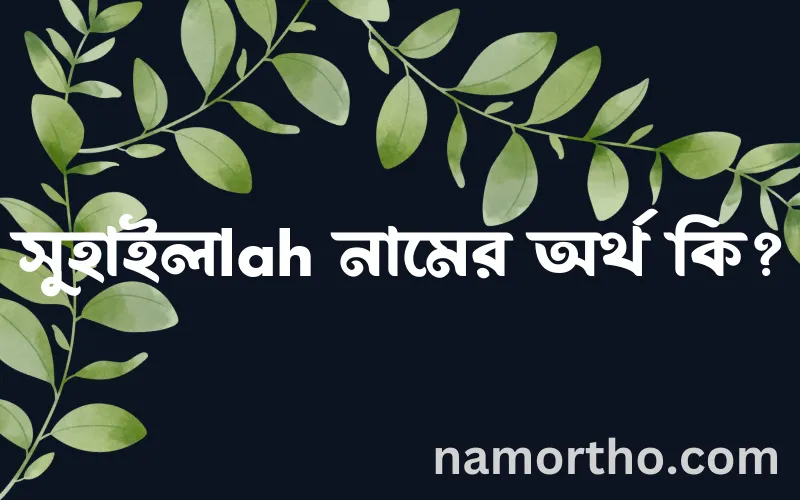 সুহাইলlah নামের আর্থ কি?