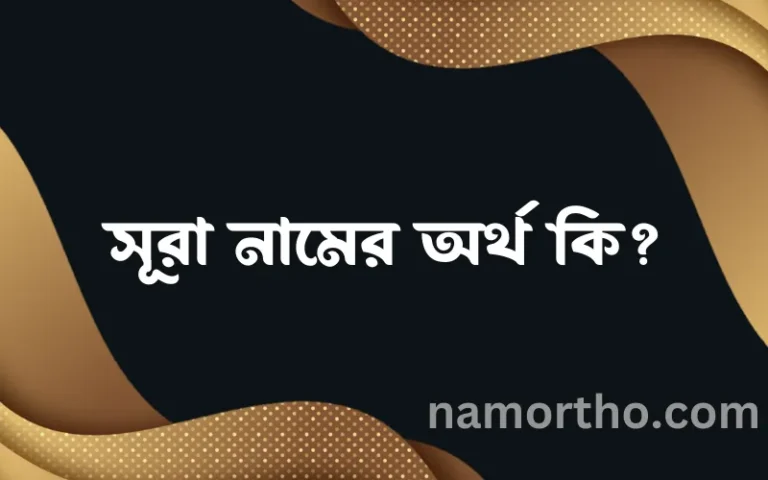 সূরা নামের অর্থ কি এবং ইসলাম কি বলে? (বিস্তারিত)
