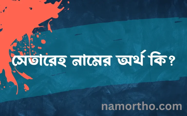 সেতারেহ নামের অর্থ কি, ইসলামিক আরবি এবং বাংলা অর্থ জানুন