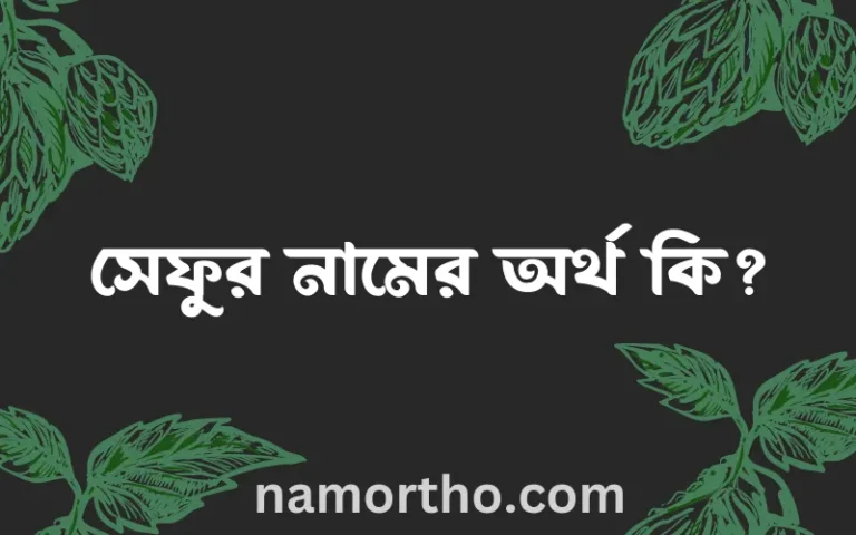 সেফুর নামের অর্থ কি? সেফুর নামের ইসলামিক অর্থ এবং বিস্তারিত তথ্য সমূহ