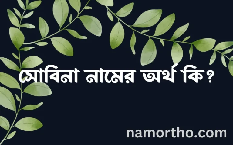 সোবিনা নামের অর্থ কি? (ব্যাখ্যা ও বিশ্লেষণ) জানুন