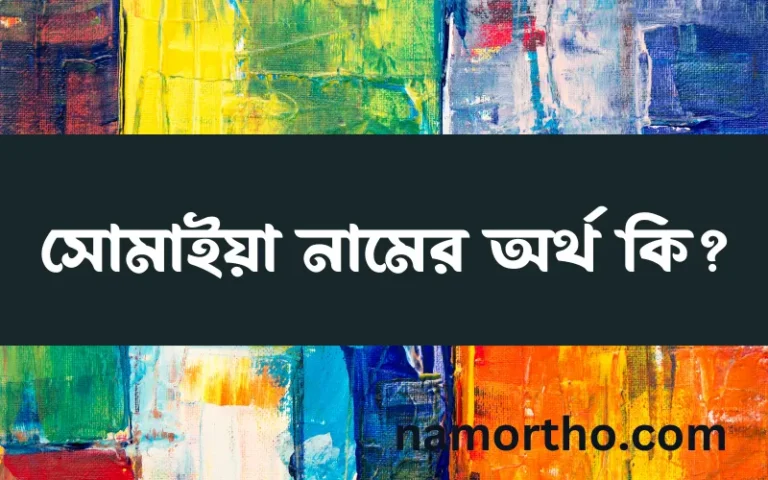 সোমাইয়া নামের অর্থ কি? (ব্যাখ্যা ও বিশ্লেষণ) জানুন