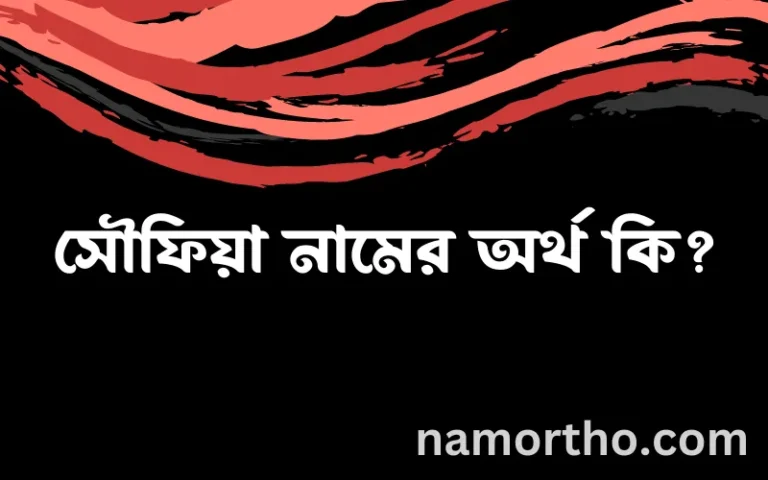 সৌফিয়া নামের অর্থ কি? সৌফিয়া নামের বাংলা, আরবি/ইসলামিক অর্থসমূহ