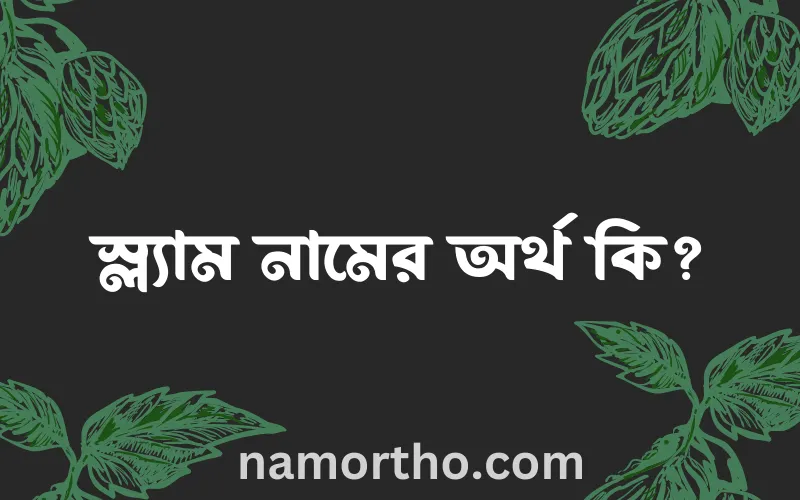 স্ল্যাম নামের আর্থ কি?