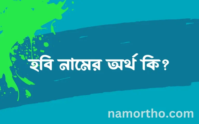 হবি নামের অর্থ কি? হবি নামের বাংলা, আরবি/ইসলামিক অর্থসমূহ