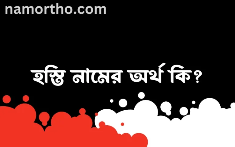 হস্তি নামের অর্থ কি? হস্তি নামের ইসলামিক অর্থ এবং বিস্তারিত তথ্য সমূহ