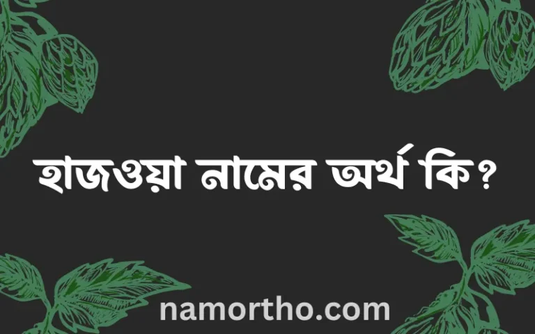 হাজওয়া নামের অর্থ কি? ইসলামিক আরবি বাংলা অর্থ