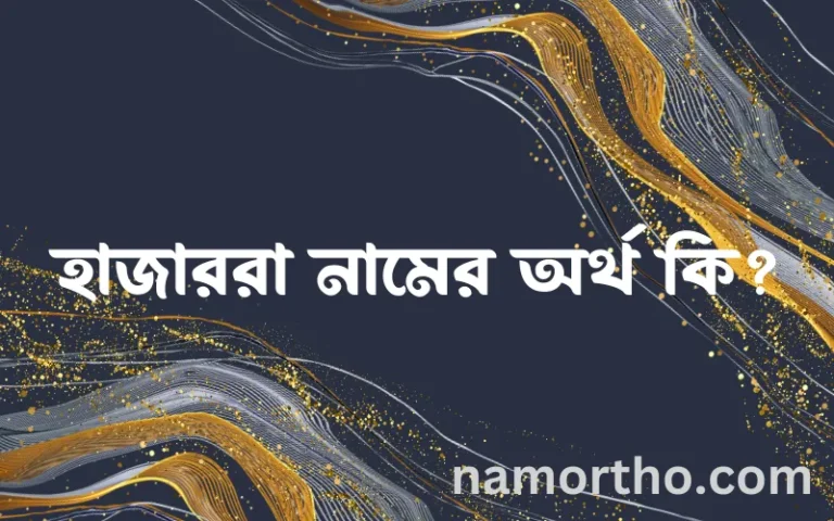 হাজাররা নামের অর্থ কি এবং ইসলাম কি বলে? (বিস্তারিত)