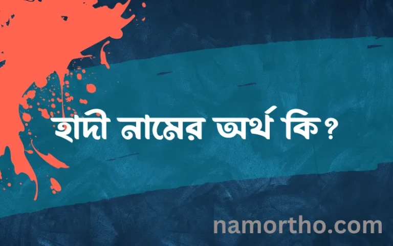 হাদী নামের অর্থ কি? ইসলামিক আরবি বাংলা অর্থ এবং নামের তাৎপর্য