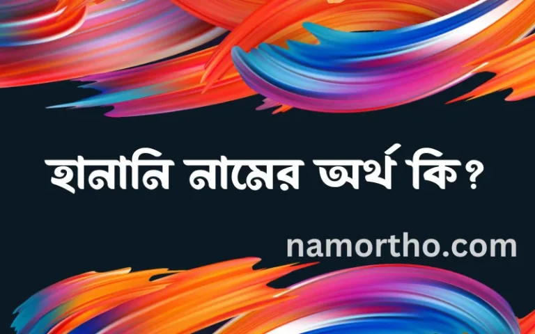 হানানি নামের অর্থ কি? হানানি নামের বাংলা, আরবি/ইসলামিক অর্থসমূহ