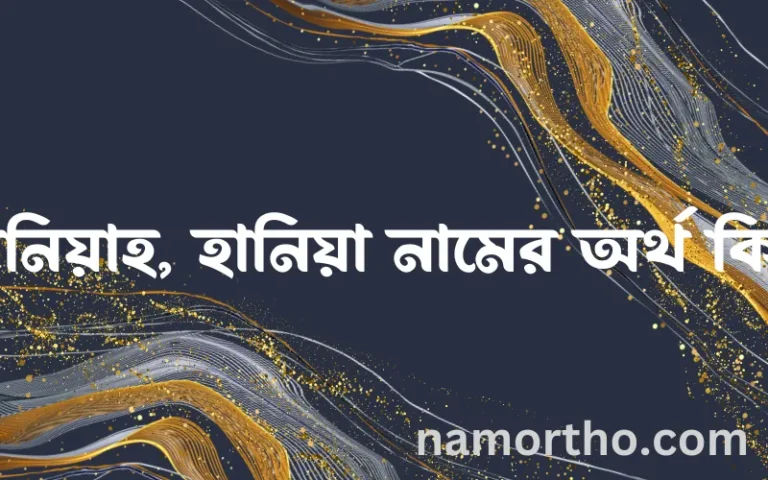হানিয়াহ, হানিয়া নামের অর্থ কি এবং ইসলাম কি বলে? (বিস্তারিত)