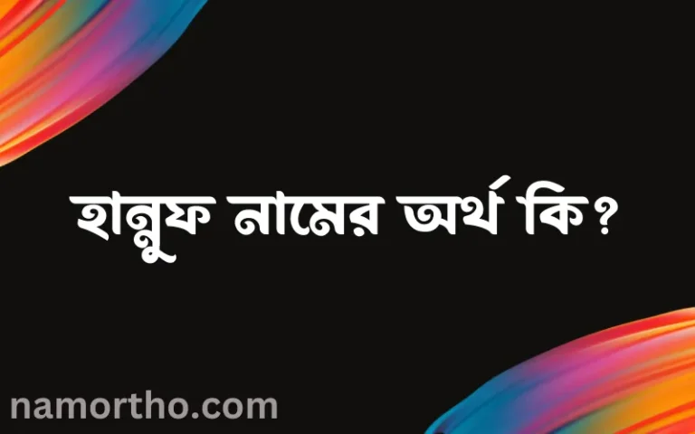 হান্নুফ নামের অর্থ কি? হান্নুফ নামের বাংলা, আরবি/ইসলামিক অর্থসমূহ