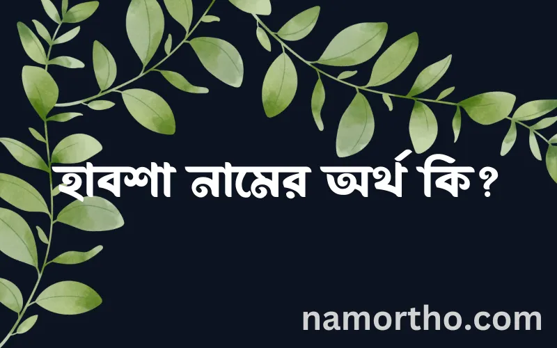 হাবশা নামের আর্থ কি?