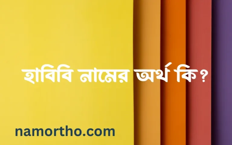 হাবিবি নামের অর্থ কি? ইসলামিক আরবি বাংলা অর্থ