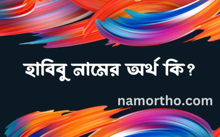 হাবিবু নামের অর্থ কি? হাবিবু নামের ইসলামিক অর্থ এবং বিস্তারিত তথ্য সমূহ