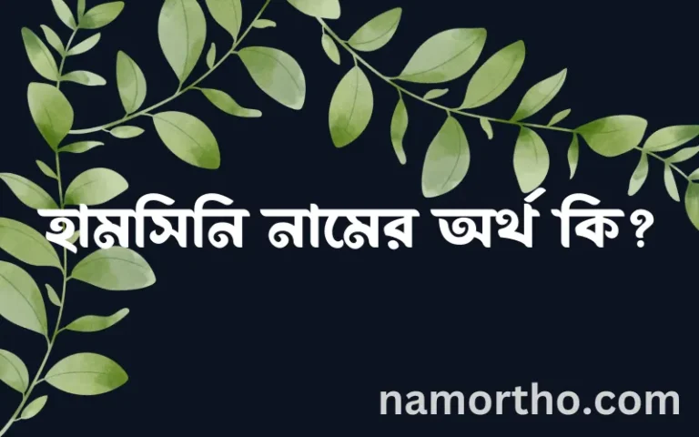 হামসিনি নামের অর্থ কি? ইসলামিক আরবি বাংলা অর্থ এবং নামের তাৎপর্য