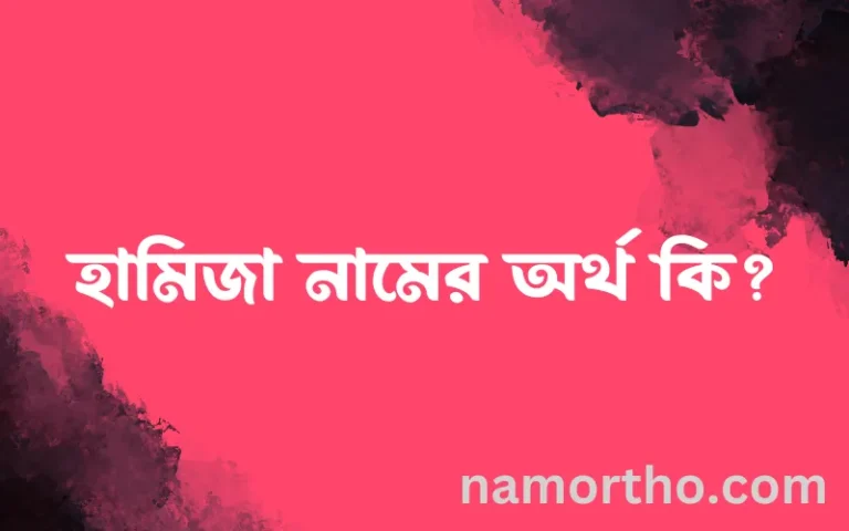 হামিজা নামের অর্থ কি? হামিজা নামের বাংলা, আরবি/ইসলামিক অর্থসমূহ