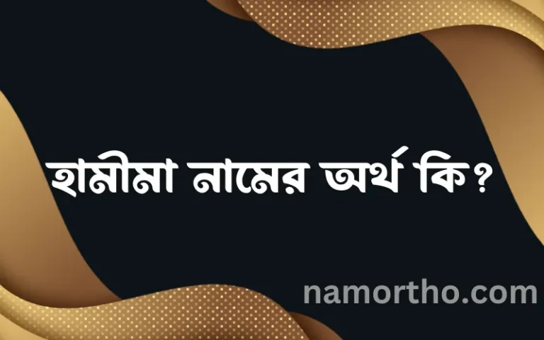 হামীমা নামের অর্থ কি? হামীমা নামের বাংলা, আরবি/ইসলামিক অর্থসমূহ