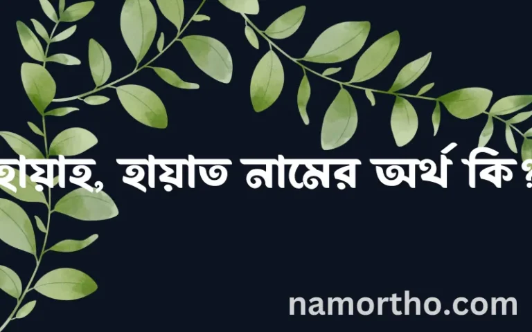 হায়াহ, হায়াত নামের অর্থ কি? হায়াহ, হায়াত নামের ইসলামিক অর্থ এবং বিস্তারিত তথ্য সমূহ