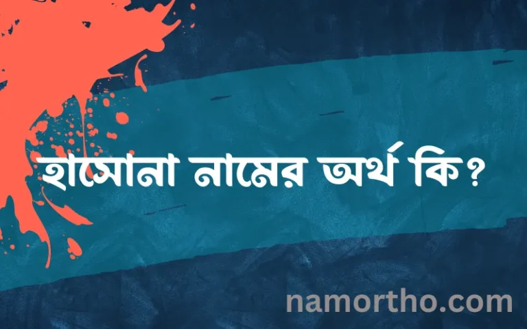 হাসোনা নামের বাংলা আরবি ইসলামিক অর্থ কি?