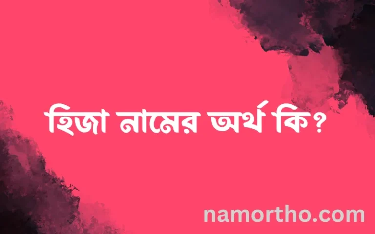 হিজা নামের অর্থ কি এবং ইসলাম কি বলে? (বিস্তারিত)