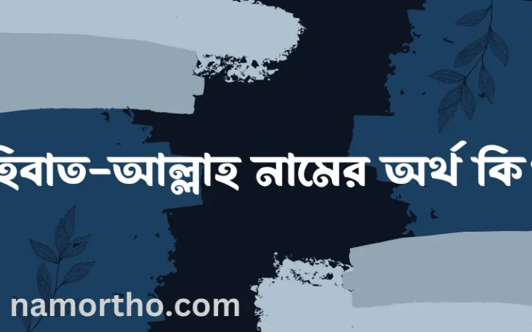 হিবাত-আল্লাহ নামের অর্থ কি? ইসলামিক আরবি বাংলা অর্থ এবং নামের তাৎপর্য