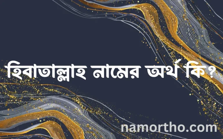 হিবাতাল্লাহ নামের অর্থ কি, বাংলা ইসলামিক এবং আরবি অর্থ?