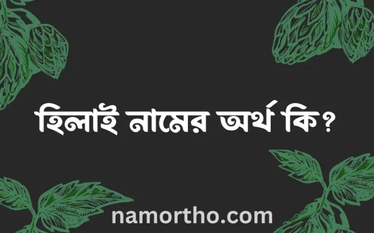 হিলাই নামের অর্থ কি, ইসলামিক আরবি এবং বাংলা অর্থ জানুন