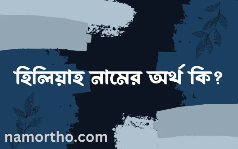 হিলিয়াহ নামের অর্থ কি? (ব্যাখ্যা ও বিশ্লেষণ) জানুন